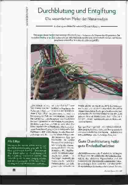 Vorschauseite 1: Durchblutung und Entgiftung. Die wesentlichen Pfeiler der Naturmedizin
