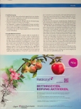 Vorschauseite 3: Schnell und effektiv