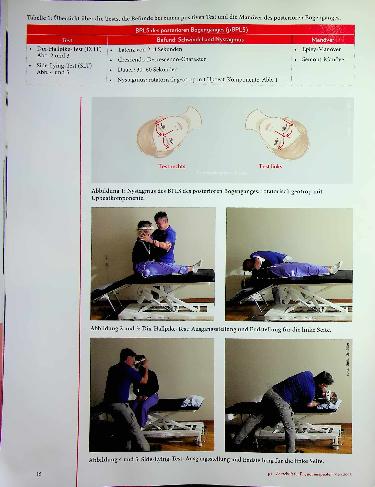 Vorschauseite 3: Nicht alle Wege führen sofort zum Ziel Fehldiagnosen und Fehlbehandlungen bei BPLS