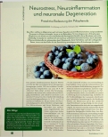Vorschauseite 1: Neurostress, Neuroinflammation und neuronale Degeneration: Protektive Bedeutung der Polyphenole