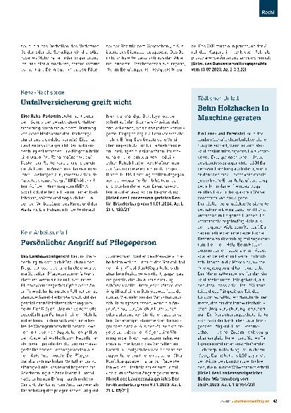 Vorschauseite 2: Bundespolizisten prügeln sich – ein Dienstunfall? Nach Rauferei dienstunfähig