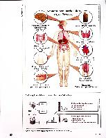 Vorschauseite 2: Behandlung der Hypothyreose ohne Hormonsubstitution