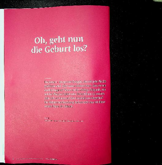 Vorschauseite 1: Oh, geht nun die Geburt los?