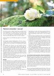 Vorschauseite 1: Recht und Soziales: Patient: in verstorben - was tun?