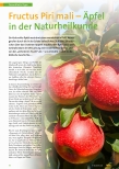 Vorschauseite 1: Fructus Pyri mali - Äpfel in der Naturheilkunde