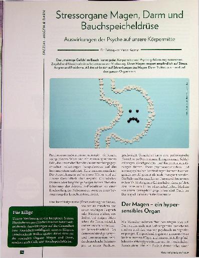 Vorschauseite 1: Stressorgane Magen, Darm und Bauchspeicheldrüse - Auswirkungen der Psyche auf unsere Körpermitte