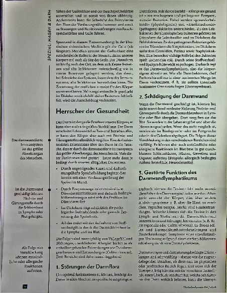 Vorschauseite 3: Stressorgane Magen, Darm und Bauchspeicheldrüse - Auswirkungen der Psyche auf unsere Körpermitte