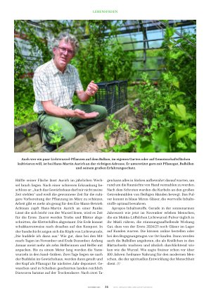Vorschauseite 5: Lichtkraft aus der Wurzel