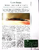 Vorschauseite 1: Guter Ansatz Hirudotherapie bei posttraumatischen Blutergüssen