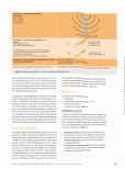 Vorschauseite 2: Chirurgische Nadeln: Eigenschaften und Handhabung