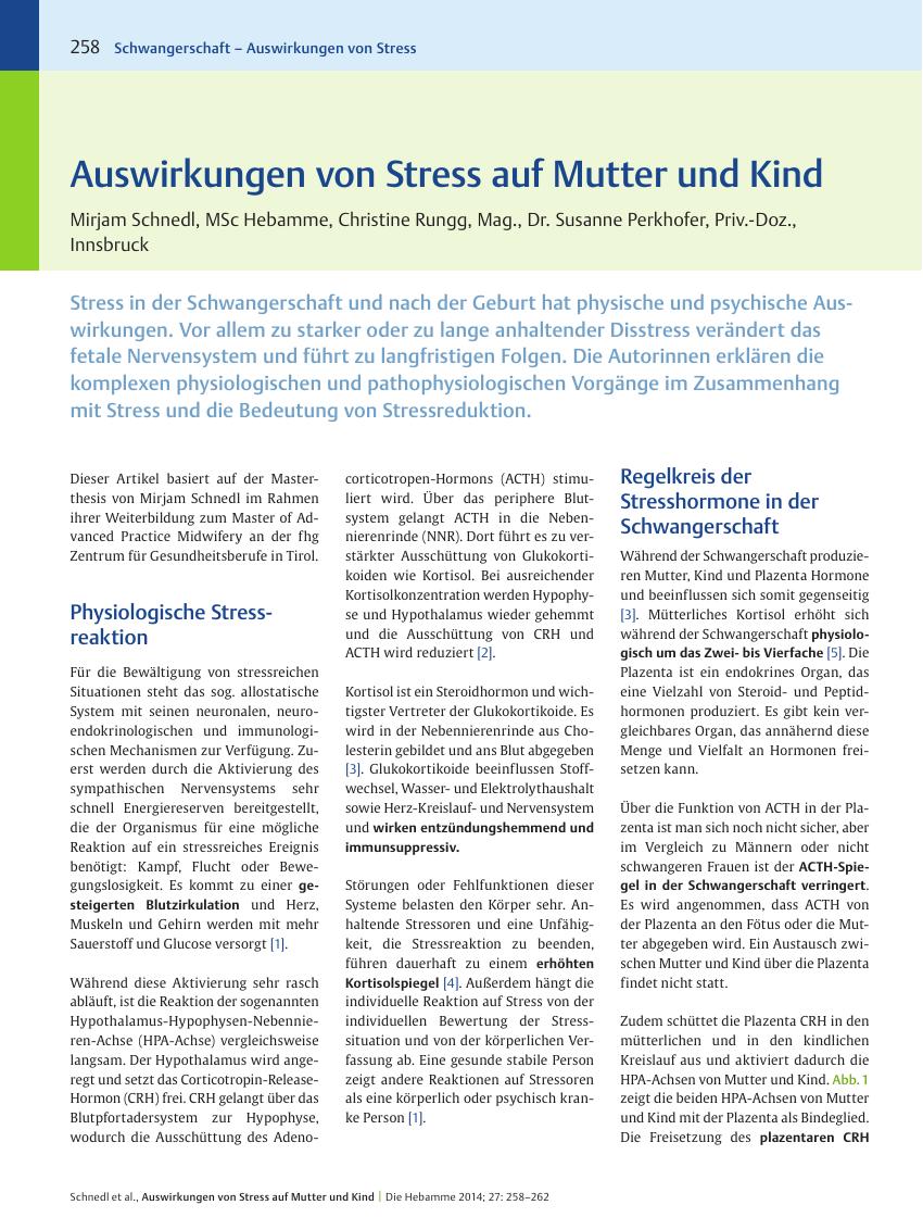 Vorschauseite 1: Auswirkungen von Stress auf Mutter und Kind