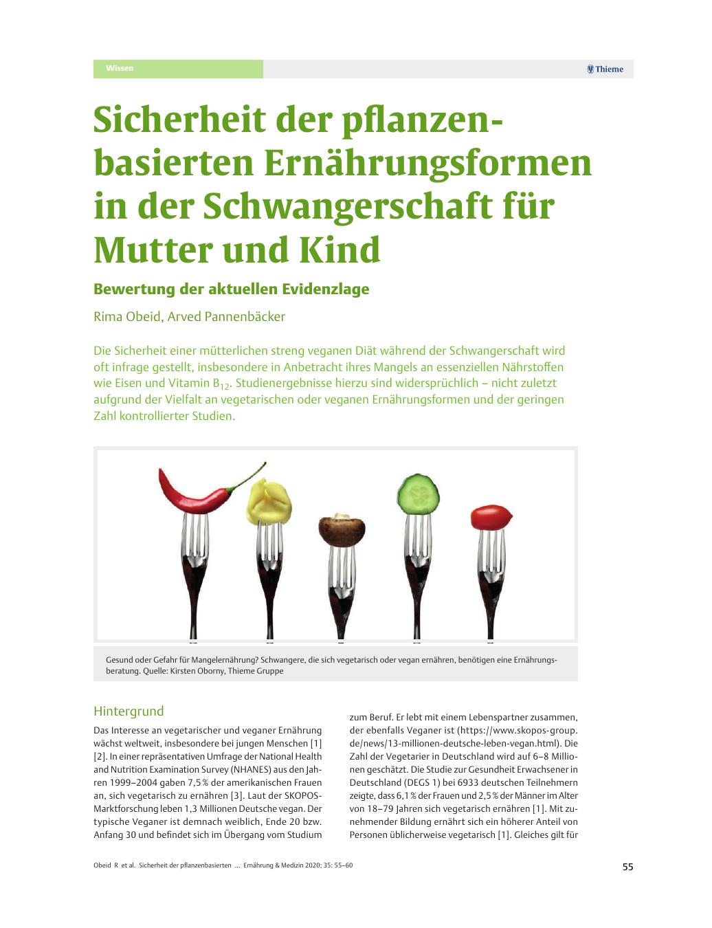 Vorschauseite 1: Sicherheit der pflanzenbasierten Ernährungsformen in der Schwangerschaft für Mutter und Kind