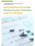 Vorschauseite 1: Heilmittelfamilien in der Biochemischen Heilweise nach Dr. Schüßler