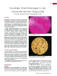 Vorschauseite 1: Parasitäre Durchfallerreger in der tiermedizinischen Diagnostik
