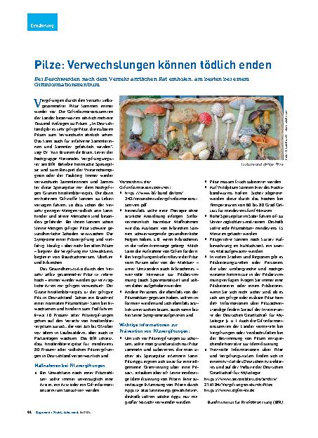 Vorschauseite 1: Pilze: Verwechslungen können tödlich enden.