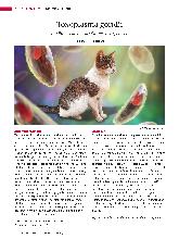 Vorschauseite 1: Toxoplasma gondii: Ein Protozoon aus der Gruppe der Sporozoa.