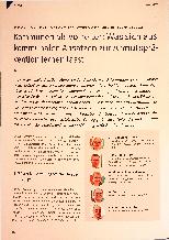 Vorschauseite 1: Kommunen als Vorreiter: Was sich aus kommunalen Ansätzen zur Armutsprävention lernen lässt
