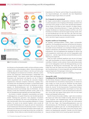 Vorschauseite 3: Vom Spender zum Empfänger: Organvermittlung und HLA-Kompatibilität verstehen