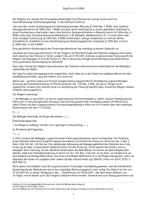 Vorschauseite 2: Zum Schmerzensgeld – Art. 2 Abs. 2 Satz 2 GG i. V. m. Art. 104 GG; § 1906 BGB a. F.