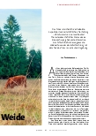 Vorschauseite 4: Tod auf der Weide