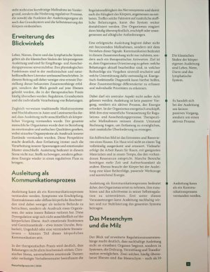 Vorschauseite 2: Detox für die Zellen, Ruhe für die Seele Ausleitung zwischen Tradition und moderner Entgiftung