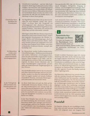 Vorschauseite 3: Detox für die Zellen, Ruhe für die Seele Ausleitung zwischen Tradition und moderner Entgiftung