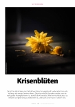Vorschauseite 1: Krisenblüten