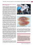 Vorschauseite 2: Rückstände von Chlorat und quartären Ammoniumverbindungen in Pangasiusfilet