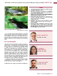 Vorschauseite 4: Rückstände von Chlorat und quartären Ammoniumverbindungen in Pangasiusfilet