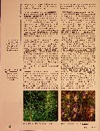 Vorschauseite 3: Detox-Tinkturen