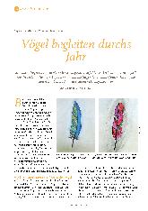 Vorschauseite 1: Vögel begleiten durchs Jahr