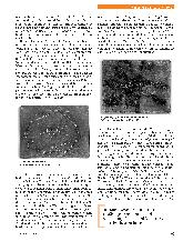 Vorschauseite 3: Richtkräfte einer neuen Gesellschaft Tafelgeschichten von Beuys und Steiner Correction: Richtkräfte einer neuen Gesellschaft - Tafelgeschichten von Beuys und Steiner