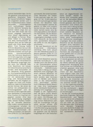 Vorschauseite 2: Zu Anordnungen nach dem PfleWoqG - hier: Erfüllungsfrist »ab dem der Zustellung dieses Bescheids folgenden Tag«
