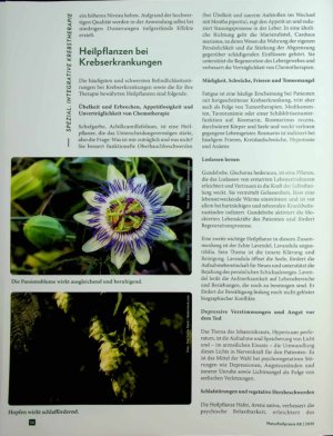 Vorschauseite 2: Akzeptanz lernen Phytodynamische Urtinkturen in der adjuvanten Krebstherapie