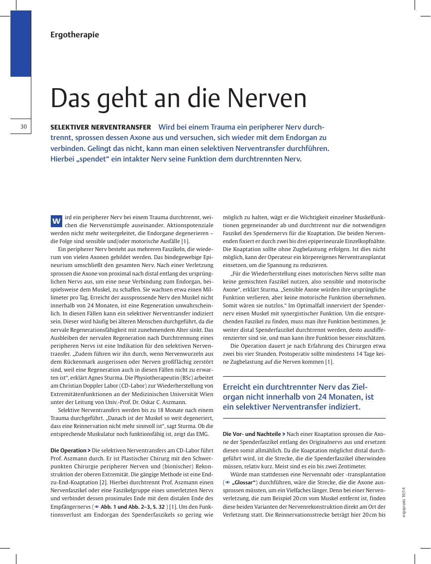 Vorschauseite 1: Selektiver Nerventransfer ? Das geht an die Nerven
