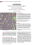 Vorschauseite 1: Autoimmunerkrankungen: Die Schilddrüse Hashimoto-Thyreoiditis und Morbus Basedow