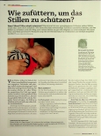 Vorschauseite 1: Wie zufüttern, um das Stillen zu schützen?