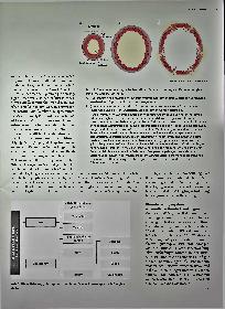 Vorschauseite 2: Das mechanobiologische Modell der gutartigen Entzündung der laktierenden Brust von Pamela Douglas