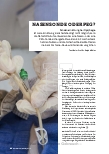 Vorschauseite 1: NASENSONDE ODER PEG?