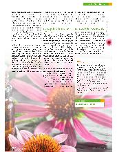 Vorschauseite 2: Echinacea in der Hausapotheke