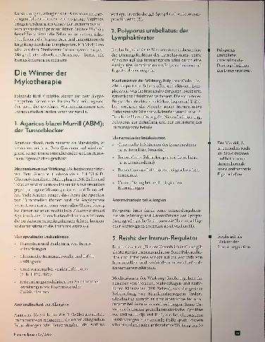 Vorschauseite 2: Pilz-Power für die Abwehr o So gibt das Immunsystem Vollgas