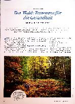 Vorschauseite 1: Der Wald: Ressource für die Gesundheit - Nutzungsmöglichkeiten und Effekte