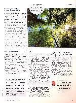 Vorschauseite 4: Der Wald: Ressource für die Gesundheit - Nutzungsmöglichkeiten und Effekte