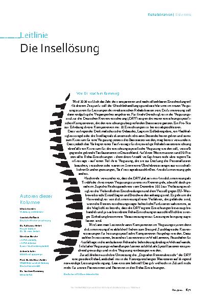 Vorschauseite 1: Die Insellösung