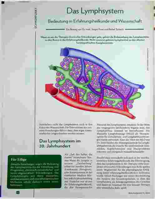 Vorschauseite 1: Das Lymphsystem: Bedeutung in Erfahrungsheilkunde und Wissenschaft