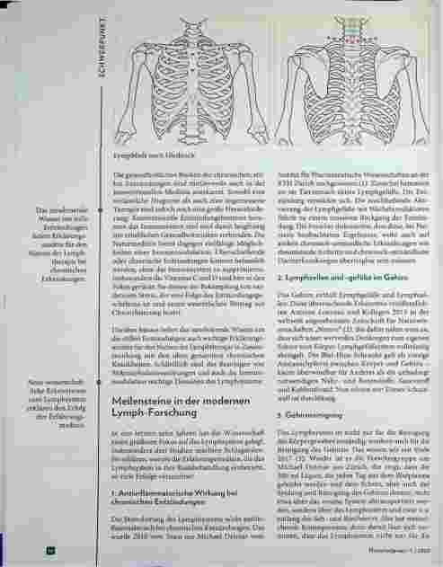 Vorschauseite 3: Das Lymphsystem: Bedeutung in Erfahrungsheilkunde und Wissenschaft