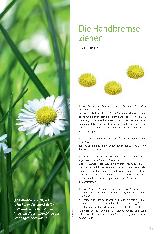Vorschauseite 1: Die Handbremse ziehen