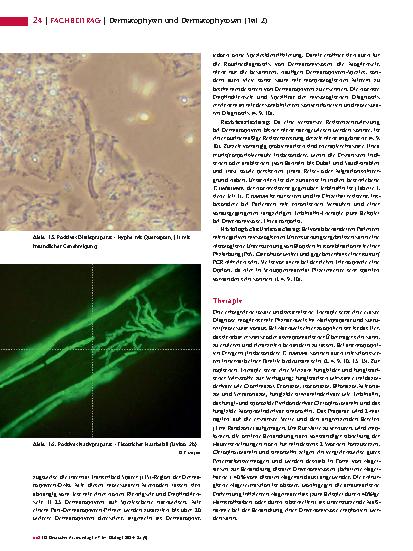 Vorschauseite 3: Dermatophyten und Dermatophytosen (Teil 2)