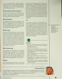 Vorschauseite 4: Hashimoto-Thyreoiditis - ein durch Autoimmunprozess ausgelöster Zustand? Naturheilkundliche Behandlungsansätze