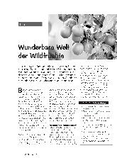 Vorschauseite 1: Wunderbare Welt der Wildfrüchte